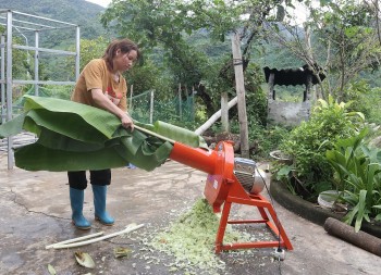 san se cong viec cham soc gia dinh voi phu nu ha giang lai chau