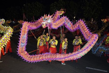 vu dieu rong bay tai vung tau lap ky luc viet nam