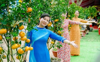 Đồng Tháp: Du khách thích thú check-in tại lễ hội nơi 'vương quốc' quýt hồng Lai Vung