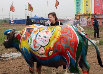 hoa si thay ao moi cho trau tai le hoi tich dien doi son 2023