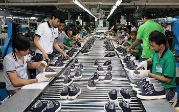 doanh nghiep canada dang ngay cang quan tam den nang luc san xuat cua viet nam