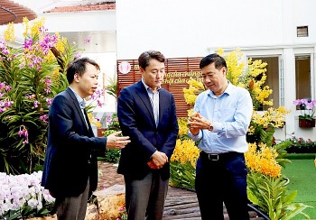 dong thap tao dieu kien thuan loi chao don nha dau tu han quoc