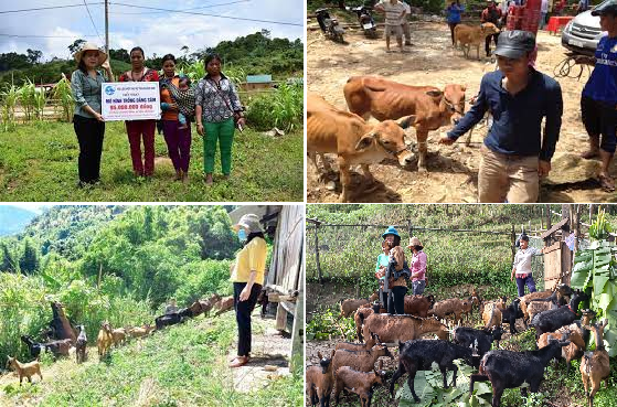 nam 2022 quang nam phan bo hon 375 ty cho 6 huyen ngheo va co gan 4000 ho thoat ngheo