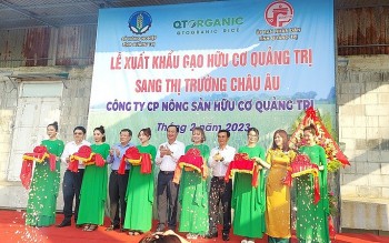 gao huu co quang tri sang thi truong chau au