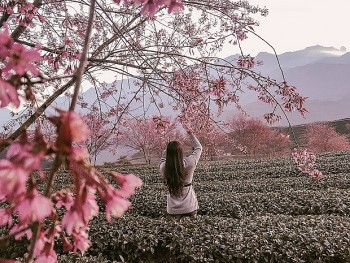 len sa pa ngam mai anh dao ruc ro