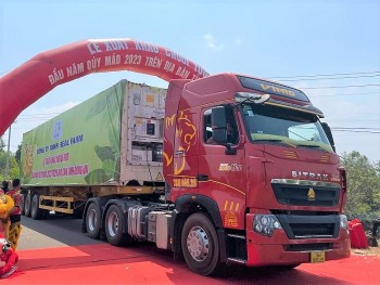 dong nai dat ra muc tieu xuat khau 500000 tan chuoi trong nam 2023