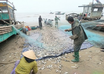 ngu dan trung loc bien thu tien trieu moi ngay