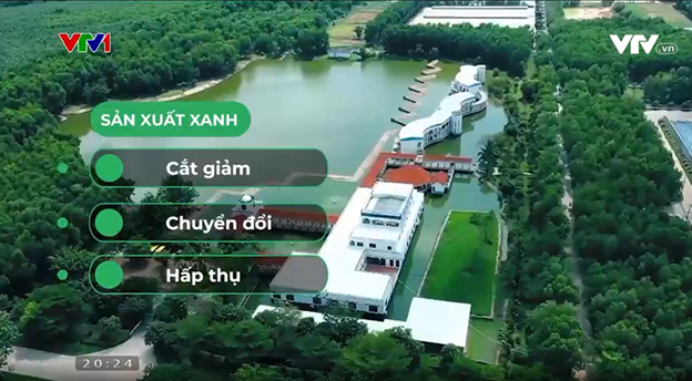 net zero tu cam ket den nhung buoc di tien phong cua doanh nghiep viet