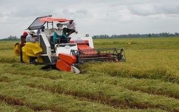 philippines van la khach mua gao lon nhat cua viet nam