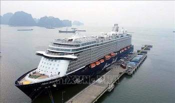 tau bien cao cap mein schiff 5 cap cang ha long