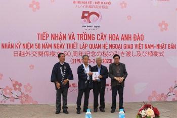 ha noi tiep nhan 110 cay hoa anh dao tu vung chukyo nhat ban