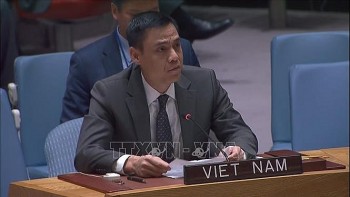 viet nam hop tac chat che voi asean ho tro myanmar tien toi giai phap hoa binh