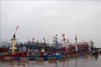 Quảng Trị hỗ trợ ngư dân vươn khơi