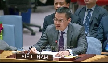 viet nam thuc day nghi quyet de nghi toa an cong ly quoc te cho y kien tu van ve bien doi khi hau