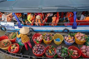 viet nam quang ba hinh anh trong trien lam du lich tai canada