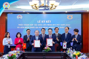 Liên minh HTX Việt Nam thúc đẩy hợp tác toàn diện với đối tác Hàn Quốc