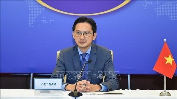 viet nam tich cuc hop tac xu ly cac thach thuc tai luu vuc song me cong
