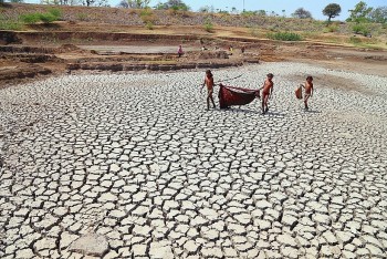 nhiet do trung binh cua the gioi len muc cao ky luc moi do bien doi khi hau va el nino