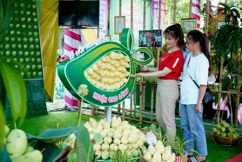 nguoi trong xoai dong thap se duoc ho tro ket noi thi truong nang cao ky nang ban hang