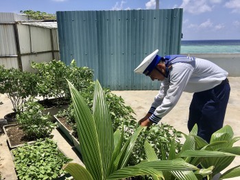 coc nuoc do den la voi tren dao truong sa