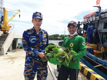 hai doan 129 cuu nan tau ca mac can o truong sa