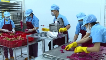 thong doc ly giai vi sao doanh nghiep kho tiep can von trong khi thanh khoan du thua