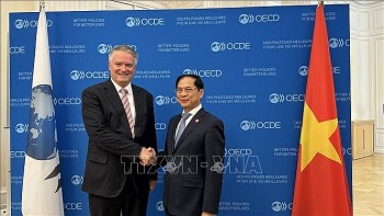 oecd se tiep tuc dong hanh cung viet nam trong phat trien kinh te xanh