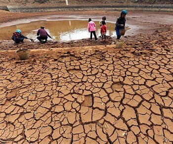 the gioi len phuong an ung pho voi el nino