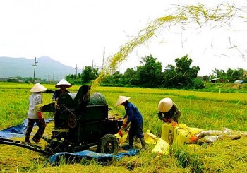 Bình Định: 1.260 hộ nông dân hưởng lợi từ dự án sinh kế nông thôn bền vững do New Zealand tài trợ