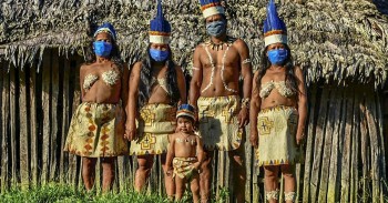 4 đứa trẻ sống sót như thế nào trong rừng Amazon suốt 40 ngày?
