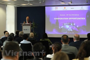 Việt Nam-Anh khai thác tiềm năng hợp tác công nghệ thông tin