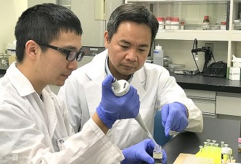 Nhà khoa học Việt Nam tại Nhật Bản lọt vào bảng xếp hạng của Research.com