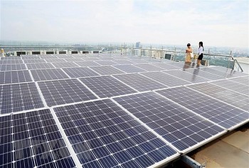 viet nam no luc chuyen doi xanh cho phat trien ben vung