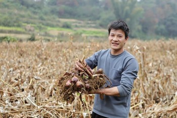 childfund sat canh cung tre em ho tro sinh ke cho nguoi dan trung khanh cao bang