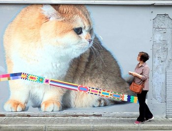 doc dao check in tren con duong meo khung tai thuong hai