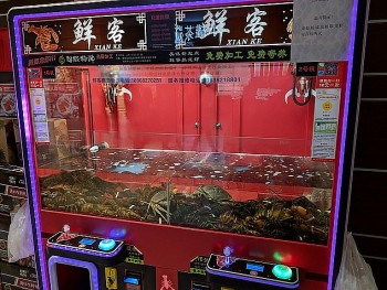 muon kieu may gap thu bong doc la tren the gioi