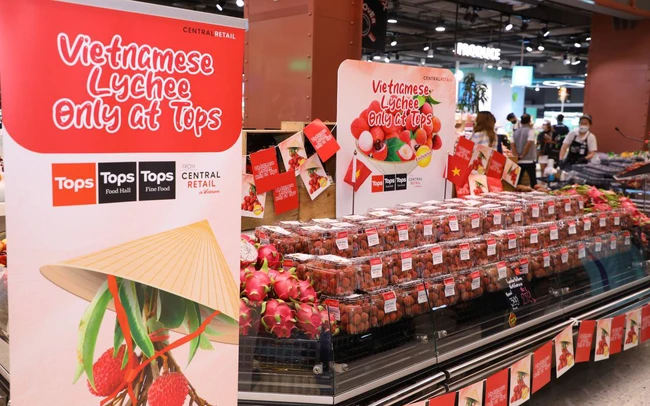 Vải thiều Việt Nam vào siêu thị lớn tại Thái Lan