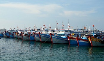 phai kien quyet xu phat nghiem tau ca khai thac trai phep