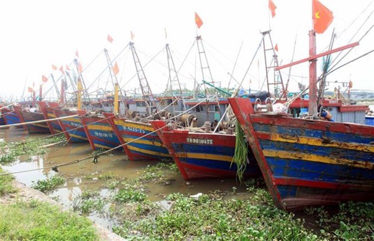 Ứng phó với bão số 1: Sơ tán gần 30.000 dân, Quảng Ninh và Hải Phòng cấm biển