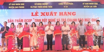 xuat khau tinh bot nghe va tra chanh dao mat ong viet nam sang thi truong anh quoc