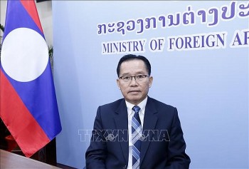 viet nam co nhieu dong gop quan trong vao su phat trien cua asean
