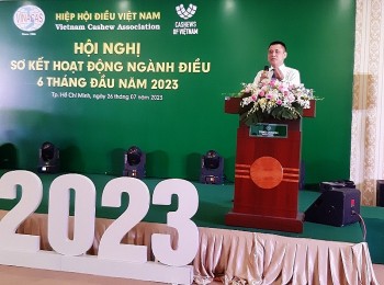 kim ngach xuat khau dieu nam 2023 du bao dat 305 ty usd thap hon muc tieu de ra