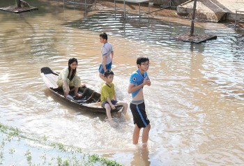 to chuc myi tai tro chuong trinh thich ung bien doi khi hau tai tp can tho