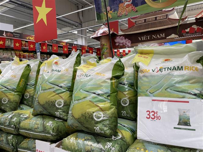 Giá gạo xuất khẩu từ Việt Nam, Thái Lan cao nhất trong hơn một thập kỷ