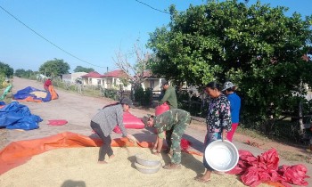 de co duoc nhung mua vang tren bien gioi