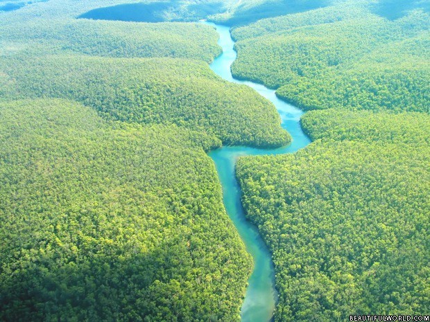 Bảo vệ Amazon - “Lá phổi xanh” của trái đất