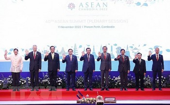 viet nam tich cuc va chu dong dong gop vao su lon manh cua asean