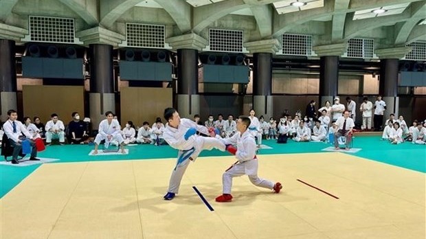 Giao lưu thi đấu Karate của cộng đồng người Việt tại Nhật Bản