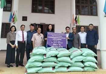 cap nhat thong tin ve cong tac bao ho cong dan viet nam trong vu sat lo dat o lao