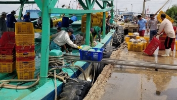bac lieu ho tro nguoi lao dong di lam viec o nuoc ngoai